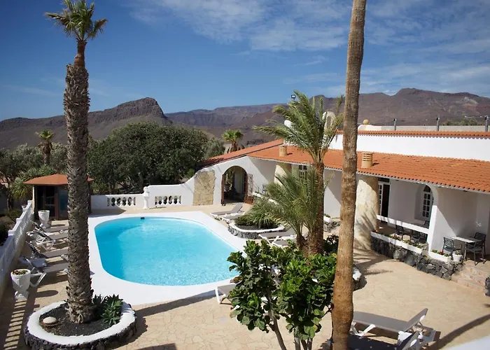 Palmera